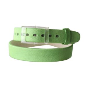 Swatch Green Replacement Watch Strap ALK264